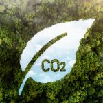 Créditos de carbono para áreas verdes. Veja como transformar sua terra em um ativo sustentável.